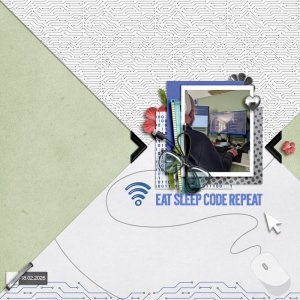 Software developer