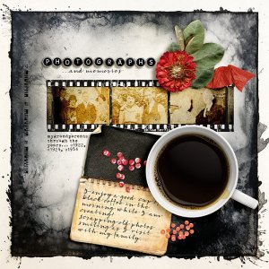 Photographs and memories
