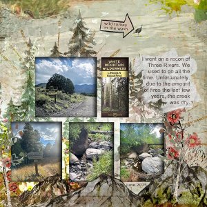 18-recon-to-3-rivers-copy.jpg