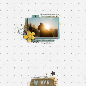 Bye...