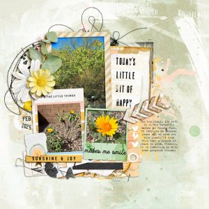 2602-SunflowerTree-JJFF-copy.jpg