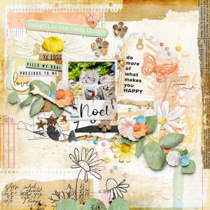 Delight In The Little Things