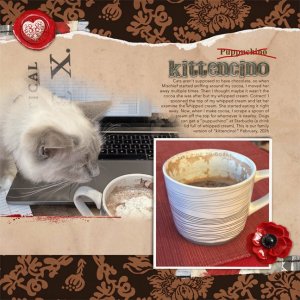 Kittencino.jpg