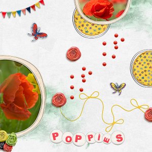 Poppies