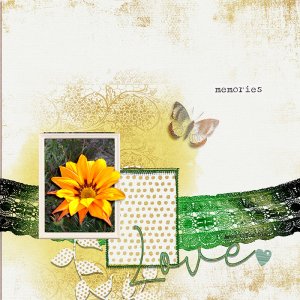 Gazania