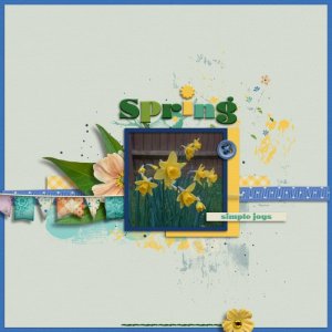 Daffodils
