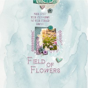 Field Of Flowers