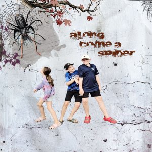 along come a spider lp.jpg