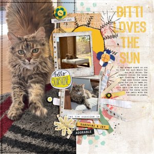 2603-Bitti-template-copy.jpg