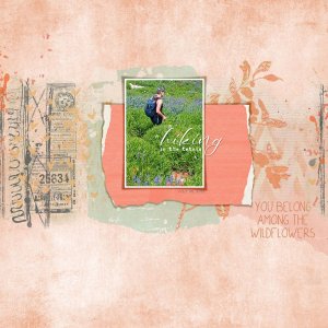 AMONG-THE-WILDFLOWERS.jpg