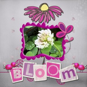 Bloom 8x8 72.jpg