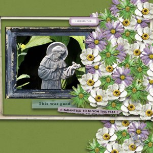 Saint Francis in my Garden.jpg