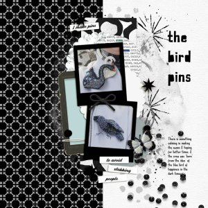 260305_brooches.jpg