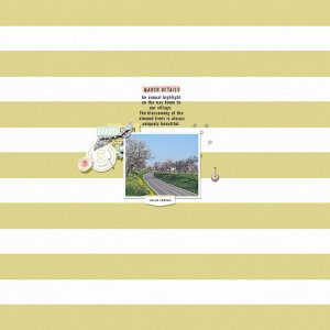 march details
