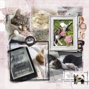Cosy moments Sept 25
