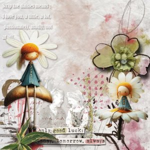 strip the daisies