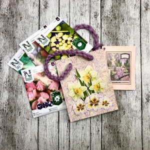 Gift bag with card 1