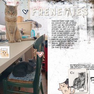 260203_frenemies.jpg