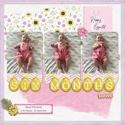 Six-Months-copy-pixellated-web-copy.jpg