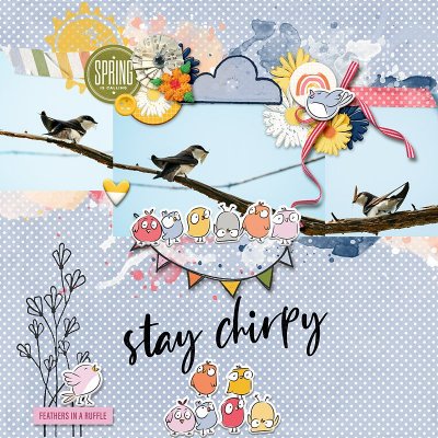 Stay Chirpy