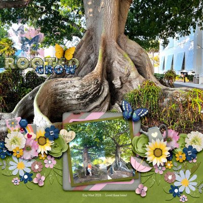 Key West trees.jpg