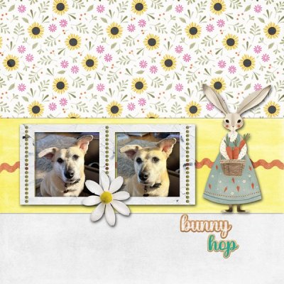 ScrapliftChallenge_Aor_janisn.jpg