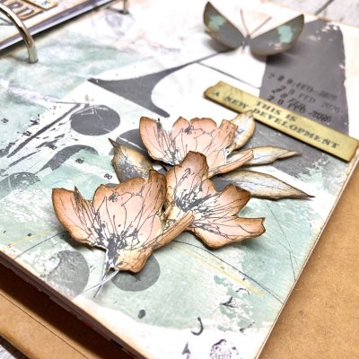 The messy middle - close up