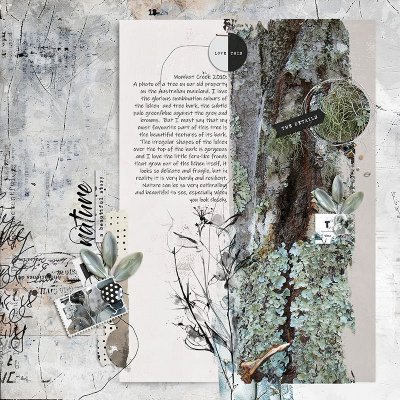 NATURE - A BEAUTIFUL STORY