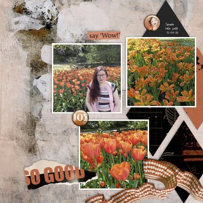 260415_tulips orange.jpg