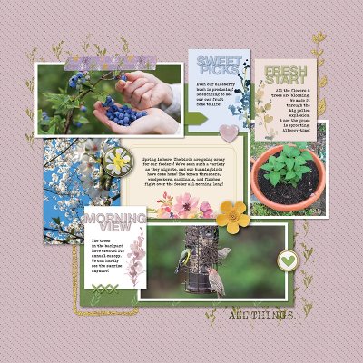 Signs of Spring