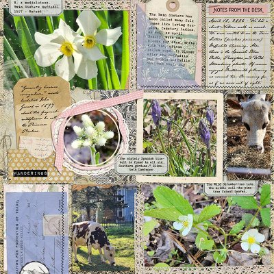Nature Walk (April 10, 2026)