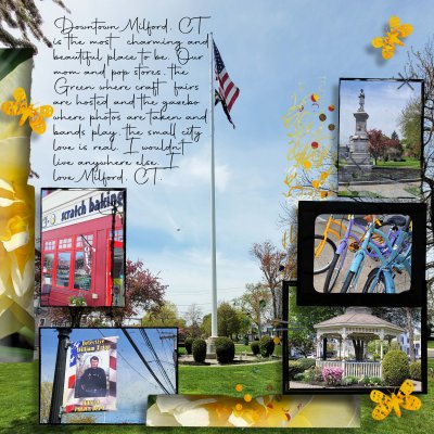 Photography Challenge For the Love of Milford.jpg