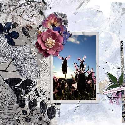 BEAUTY IN THE ORDINARY