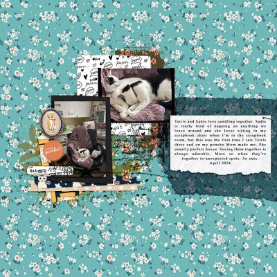 INSD2026-2TEMP-HeyMrHMV27