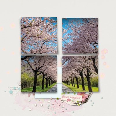 Flowers Everywhere