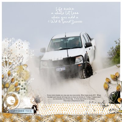 4wd Joy.jpg