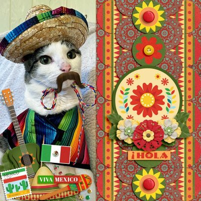 !Hola!
