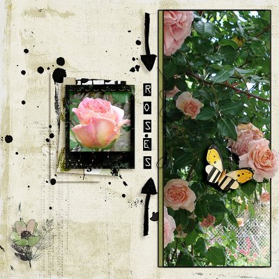 Roses