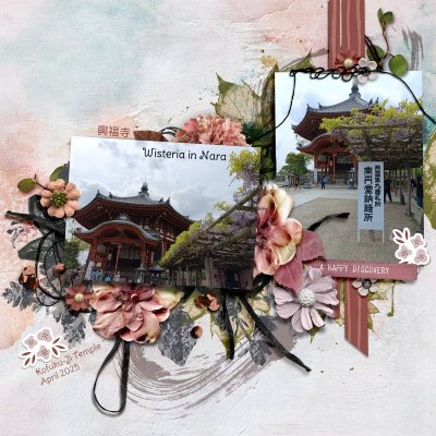 Scrap like Sheri: Wistful