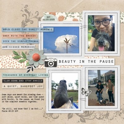 Beauty in the Pause