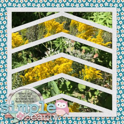 KJSL 6 - Weeds?