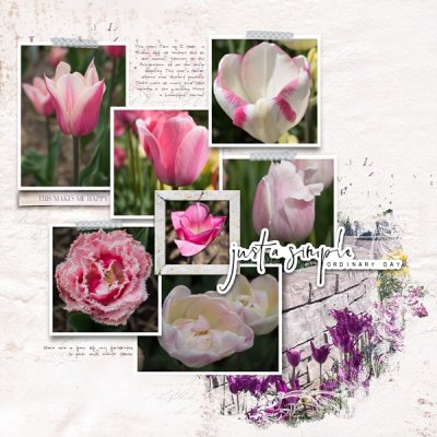 Outdoors_with_Tulips.jpg