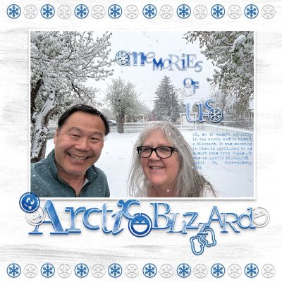 Arctic blizzard.jpg