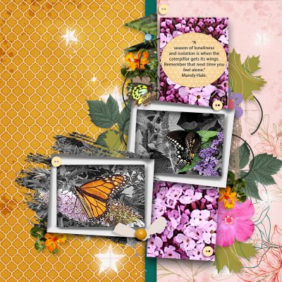 Studio K Butterflies and Life On The Cards Template 1.jpg