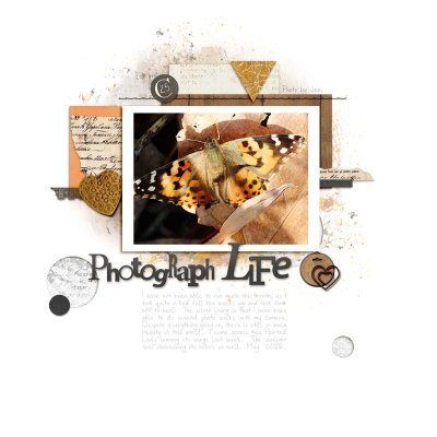 Photograph Life