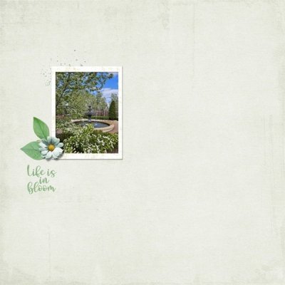 Life Is In Bloom May 2026.jpg