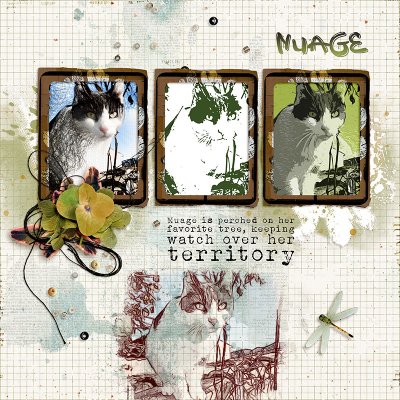 Nuage