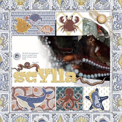 scylla