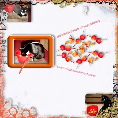 Scrap Lift Elliot Stabler Cherry Detective 2011.jpg