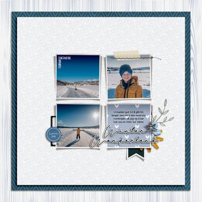 Winter wonderland